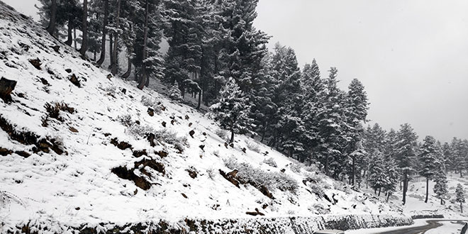 Snowfall in Kashmir