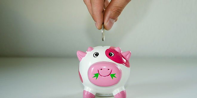 Piggy Bank